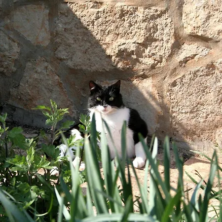 And With Parking Space - 4399 Gæstehus 3*